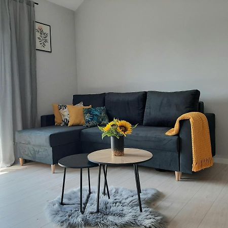 Apartament Miodowy Władysławowo Exterior foto
